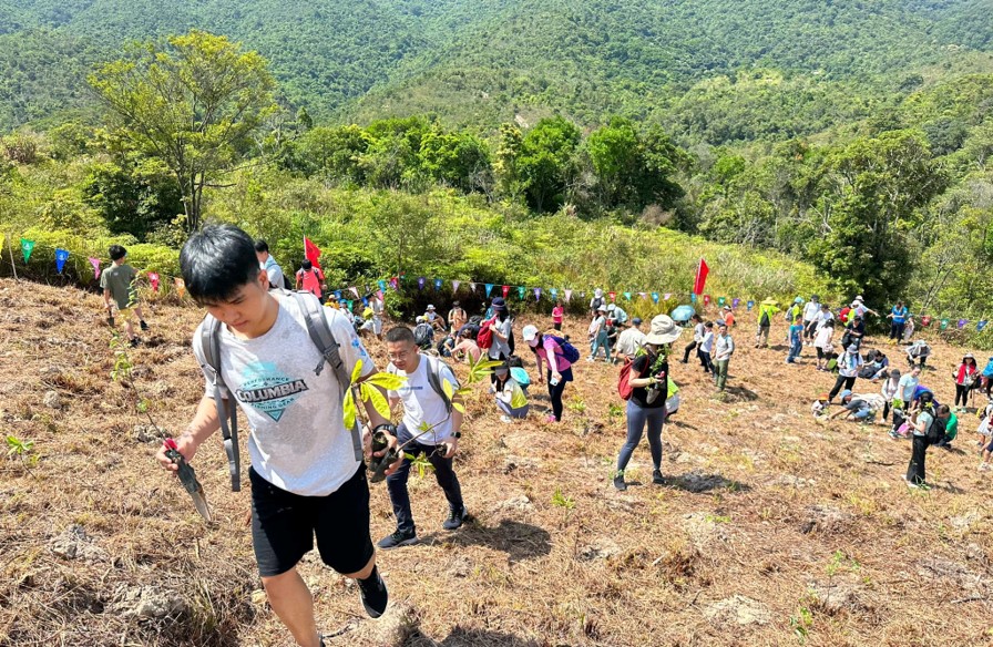 郊野公园远足植树日