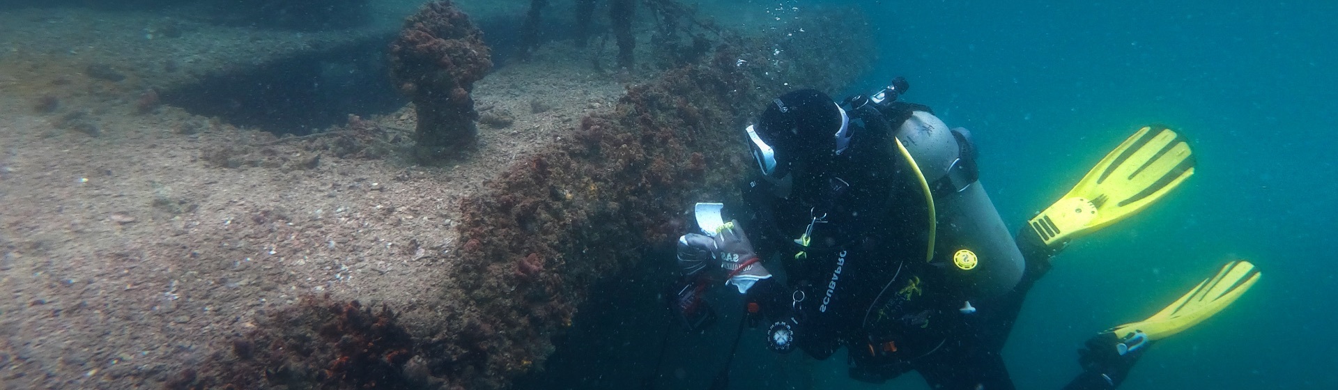 Management of Artificial Reef