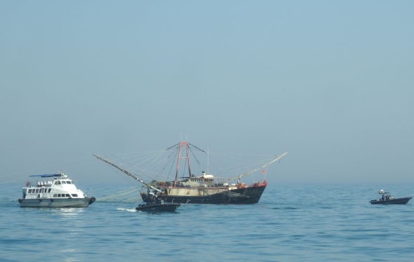 控制捕魚活動