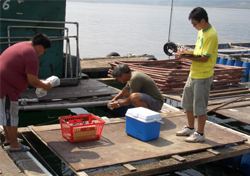 在鱼类养殖区采集样本