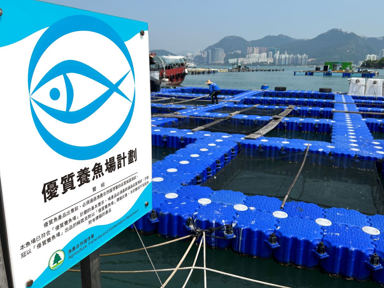 Marine Fish Culture