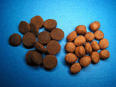 dry pellet feed