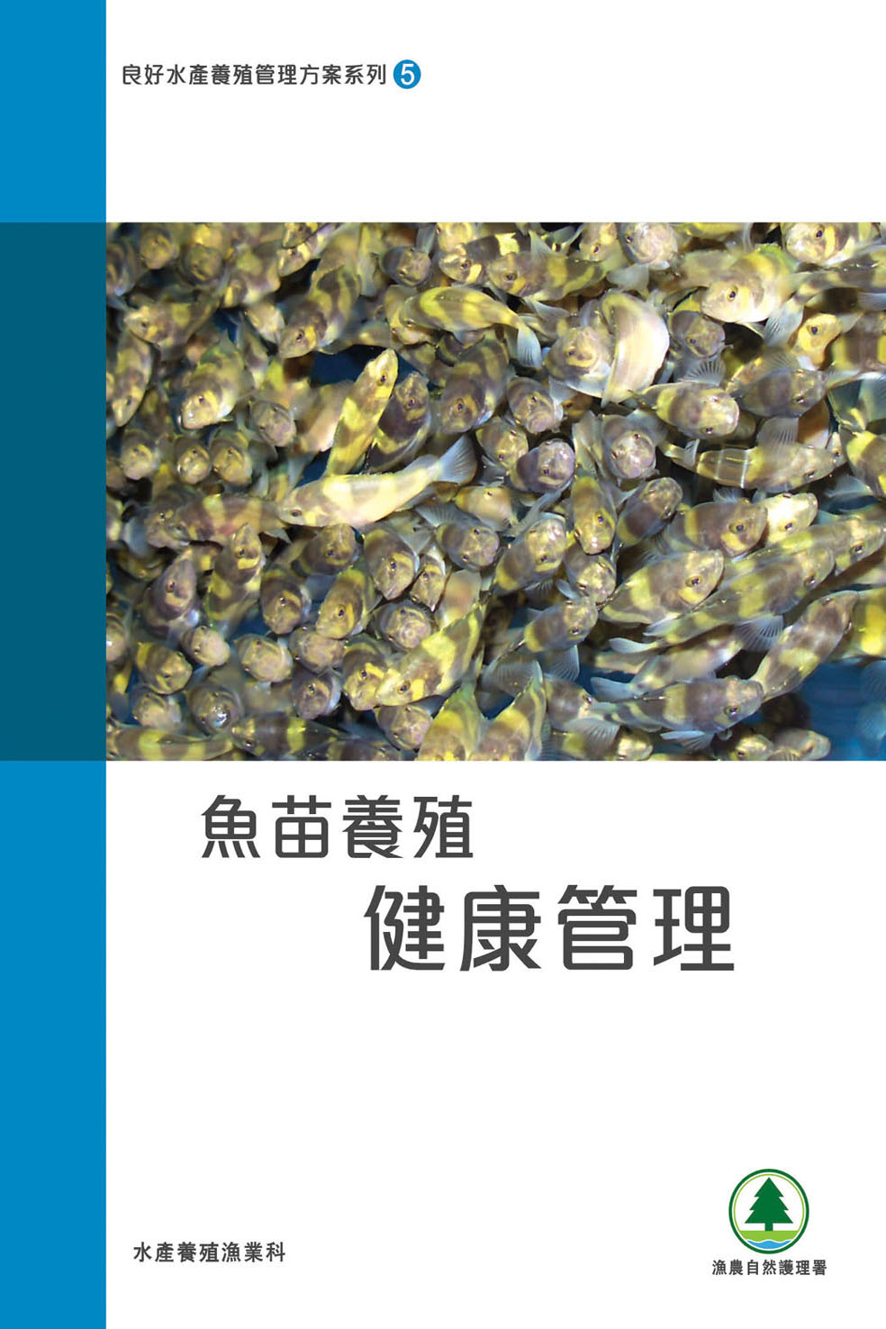 鱼苗养殖健康管理