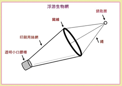 圖一 浮游生物網結構