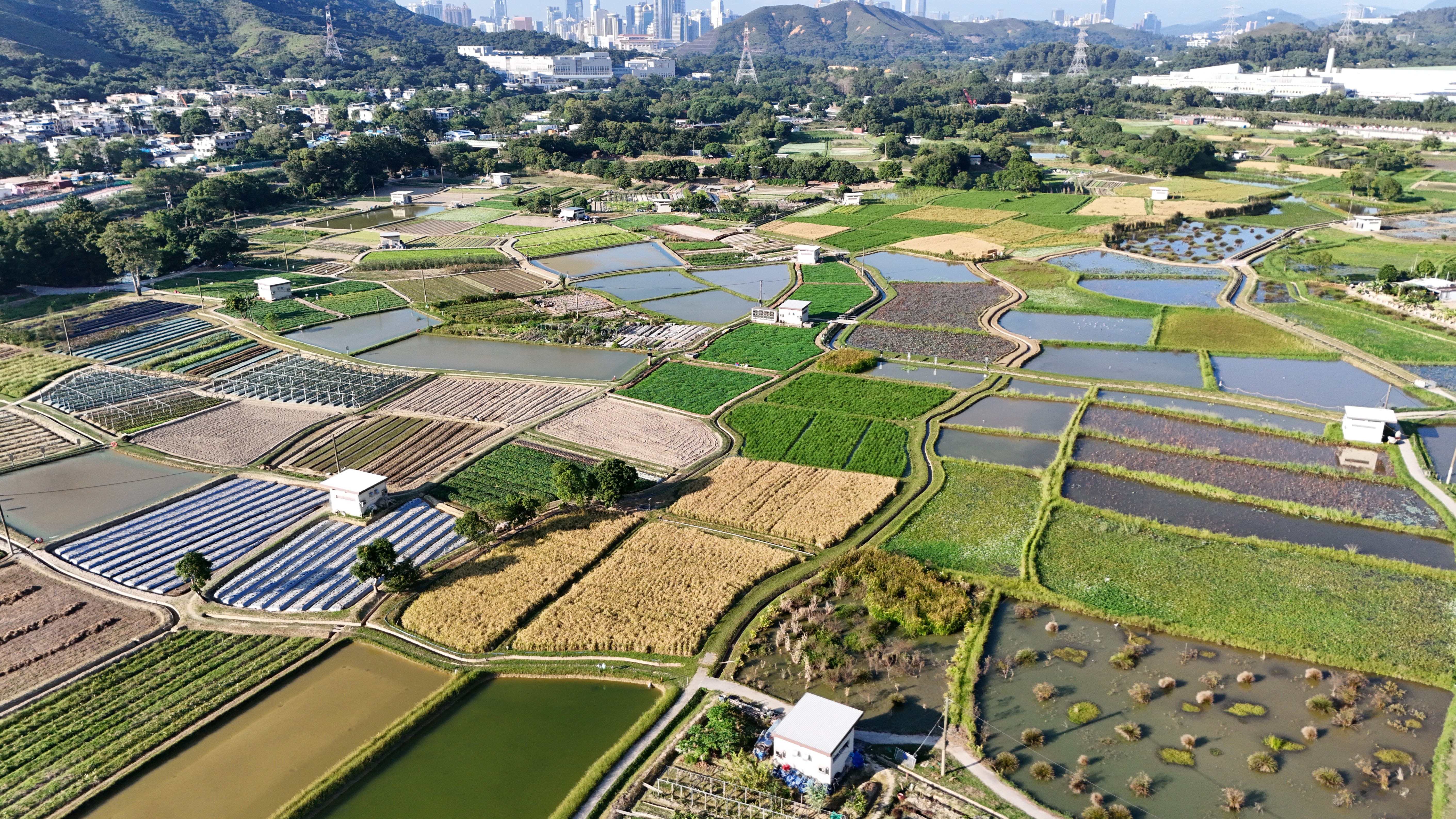 塱原自然生態公園開幕禮今日舉行（八）