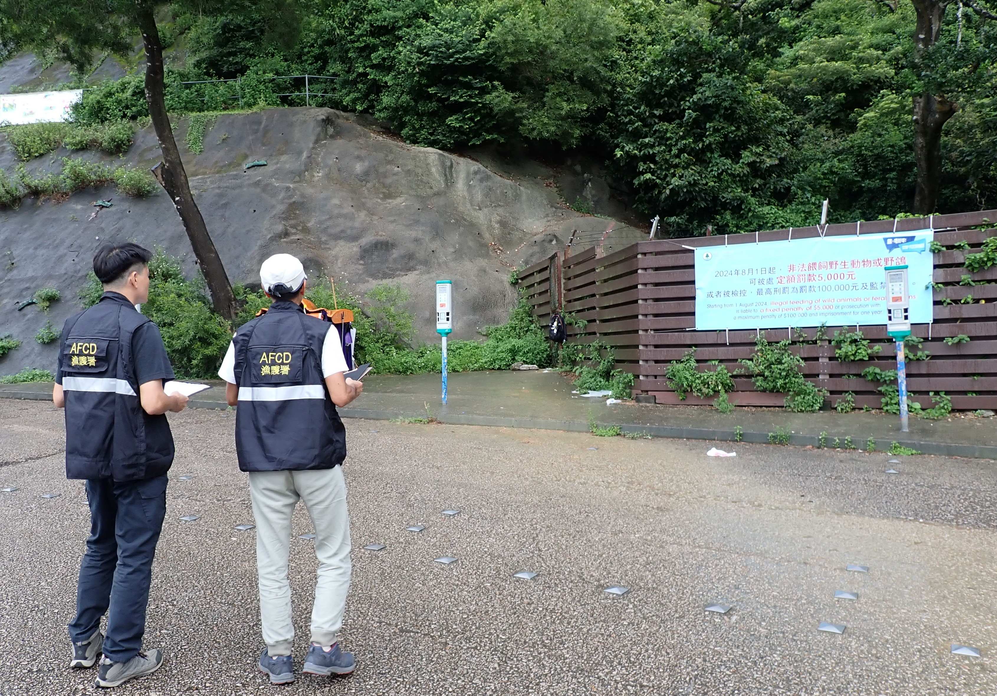 漁護署加強執法打擊非法餵飼野生動物及野鴿（一）