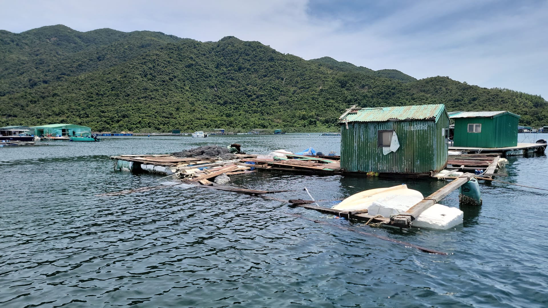 受颱風蘇拉影響農戶及養魚戶可申請緊急救援基金（二）