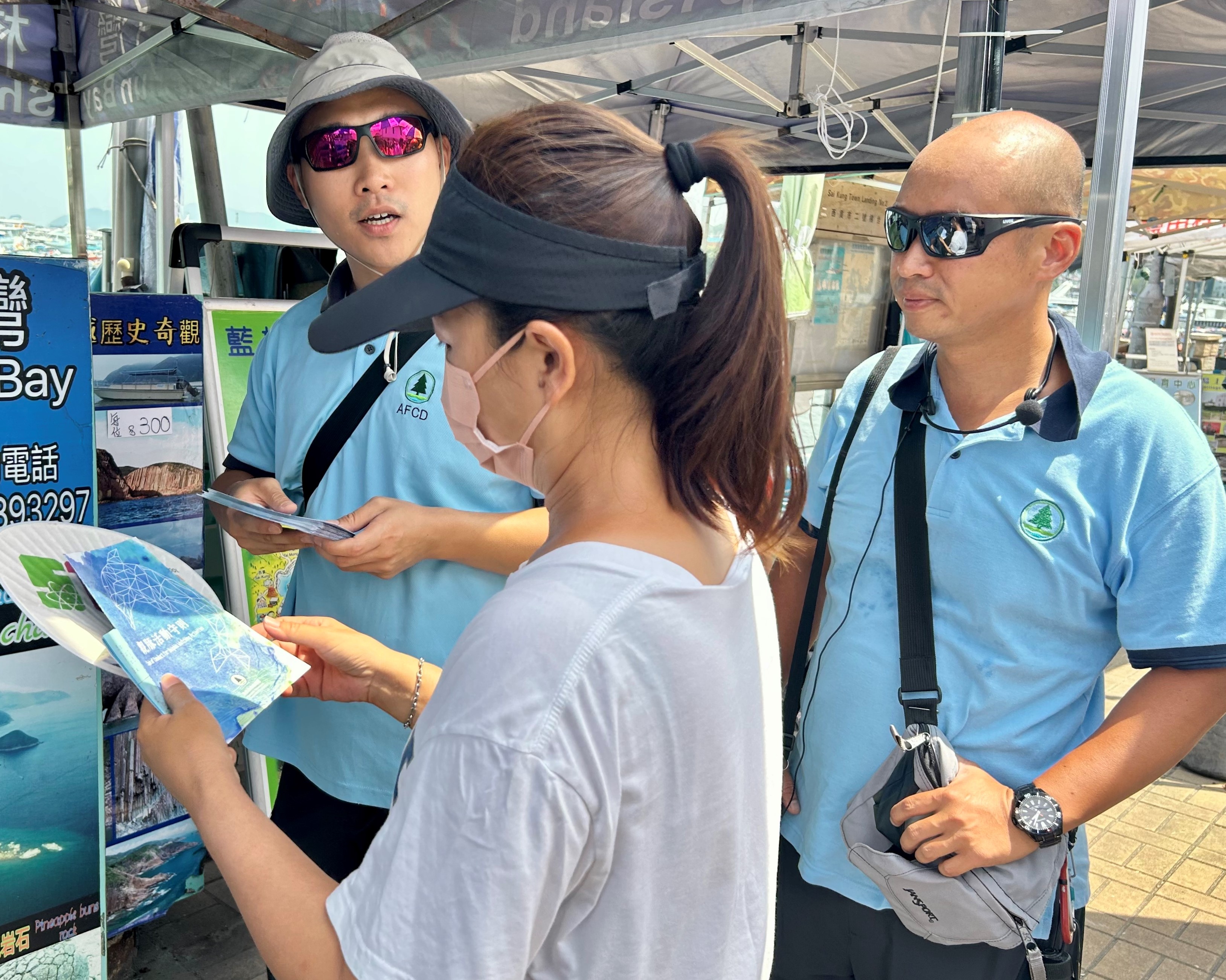 漁護署強烈勸喻市民不要追蹤鯨魚（三）
