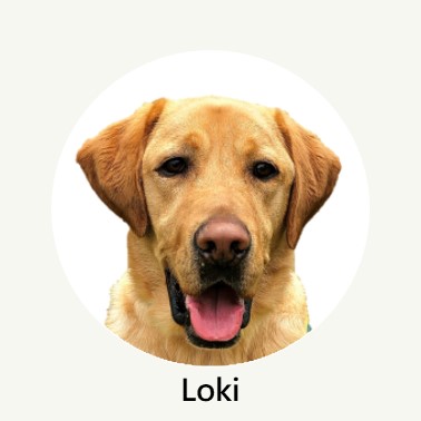 loki profile