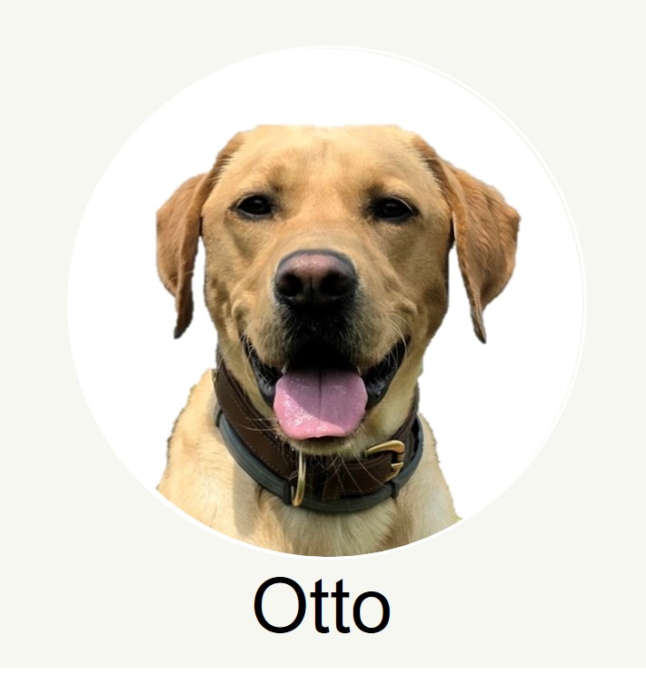 otto profile