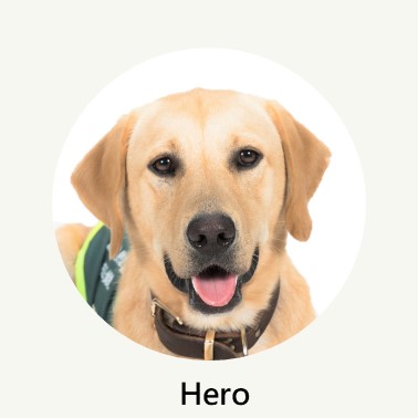 Hero Profile