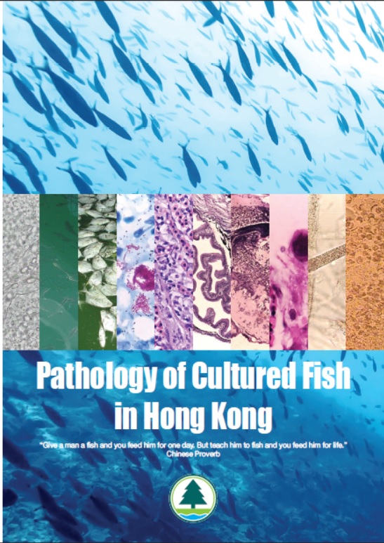 Pathology of Cultured Fish in Hong Kong